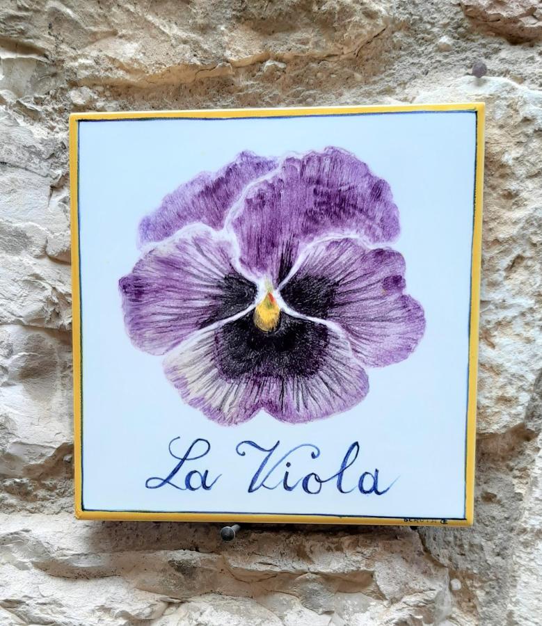 Hotel La Viola Di Assisi Exteriér fotografie