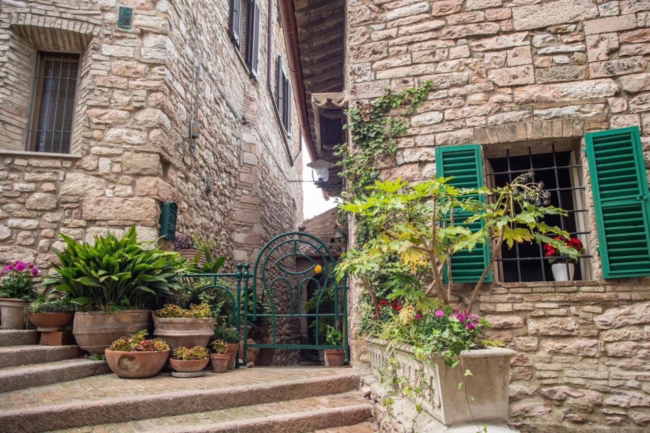 Hotel La Viola Di Assisi Exteriér fotografie