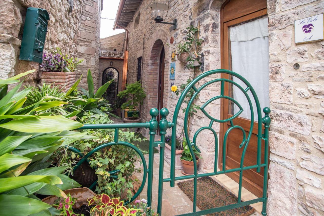 Hotel La Viola Di Assisi Exteriér fotografie