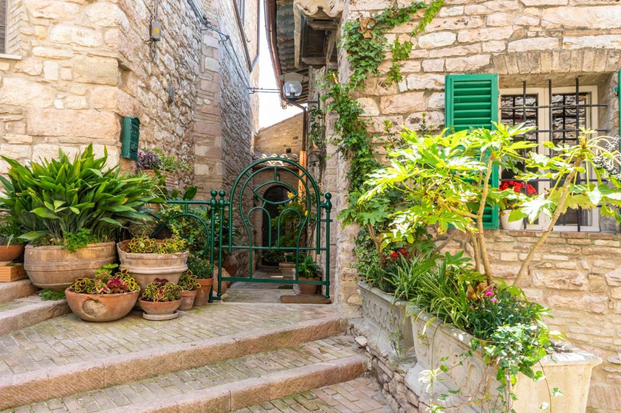 Hotel La Viola Di Assisi Exteriér fotografie