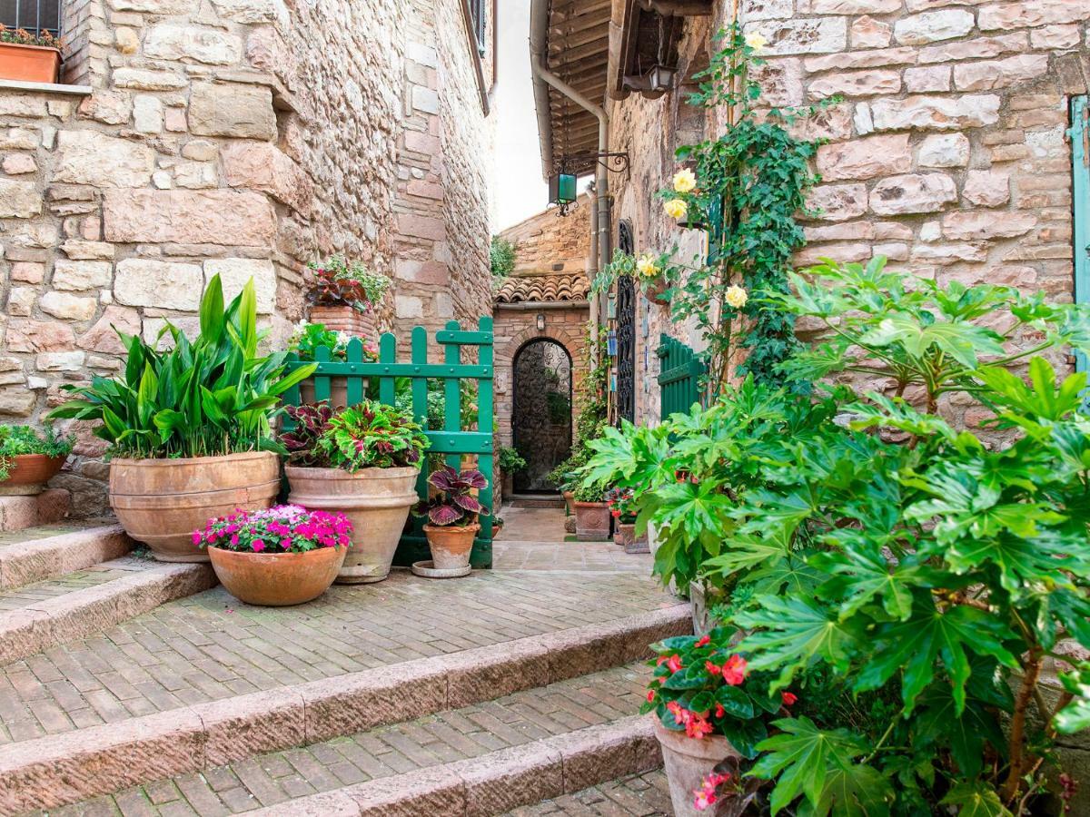 Hotel La Viola Di Assisi Exteriér fotografie